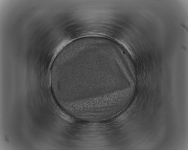 X0000091651371200709131442