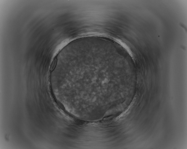 X0000091651373200709131442