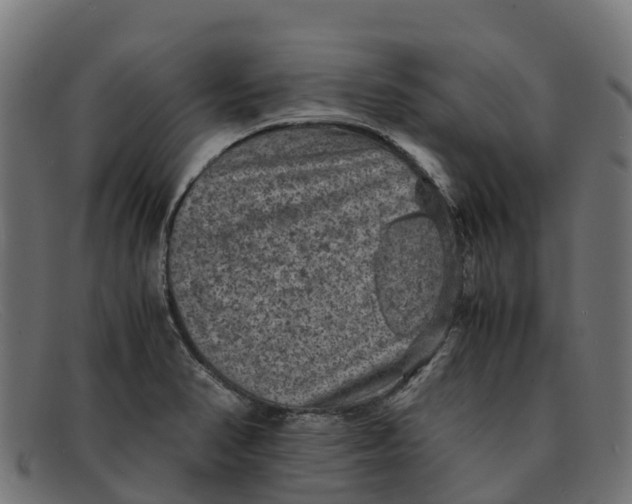 X0000091651374200709131442