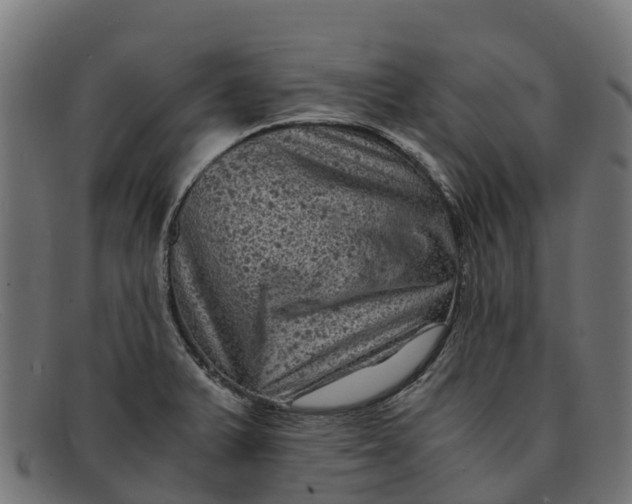 X0000091651375200709131442