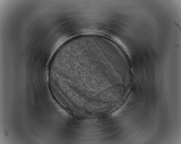 X0000091651376200709131442