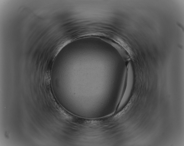 X0000091651377200709131442