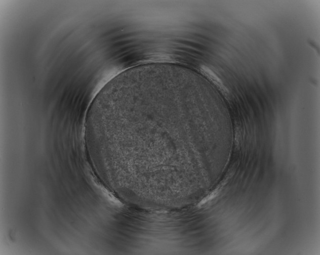 X0000091651378200709131442