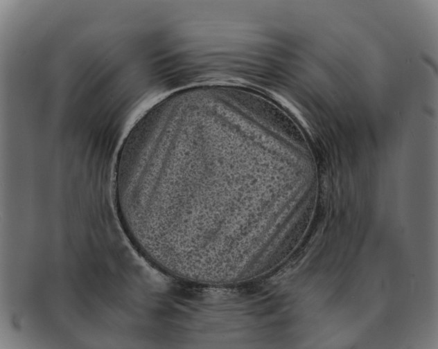 X0000091651379200709131442