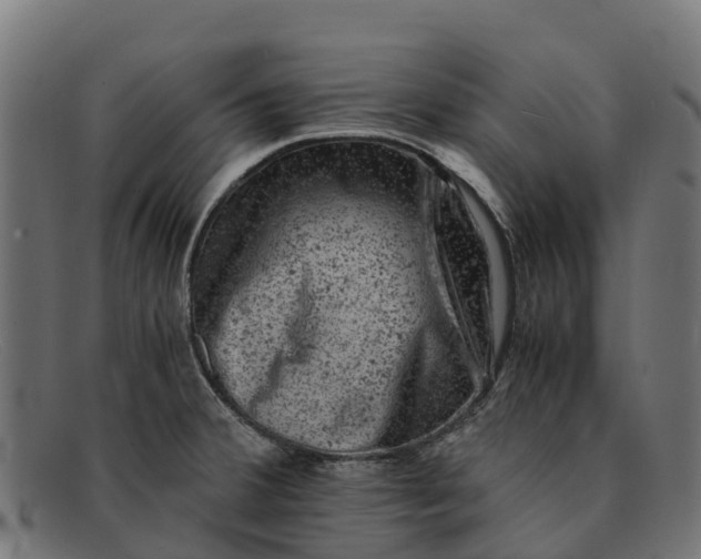 X0000091651380200709131442