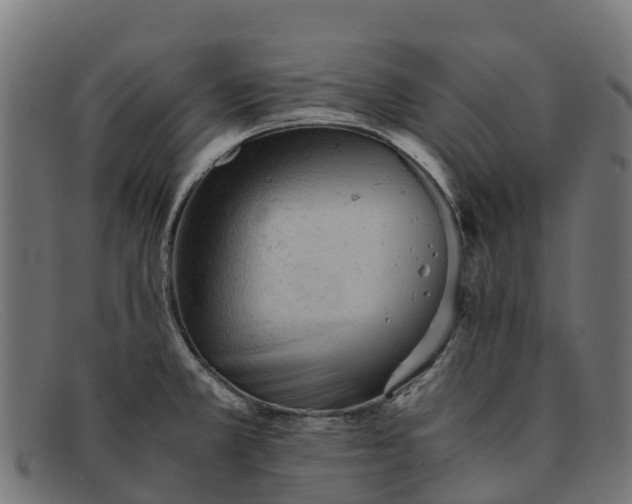 X0000091651381200709131442