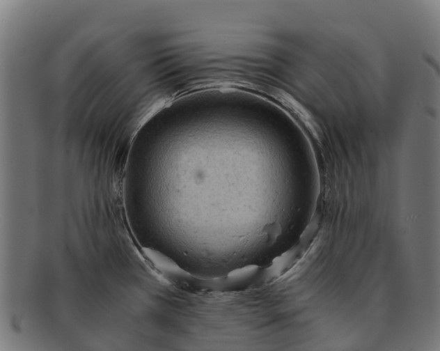 X0000091651385200709131442