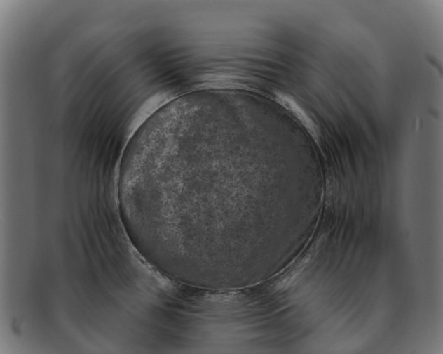 X0000091651386200709131442