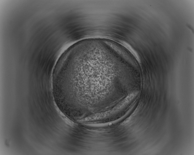 X0000091651388200709131442