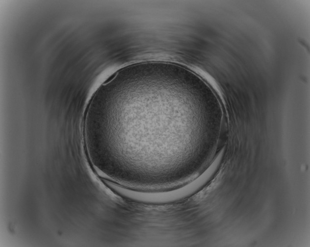 X0000091651389200709131442