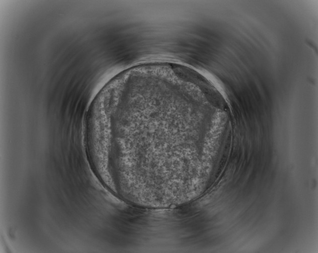 X0000091651390200709131442