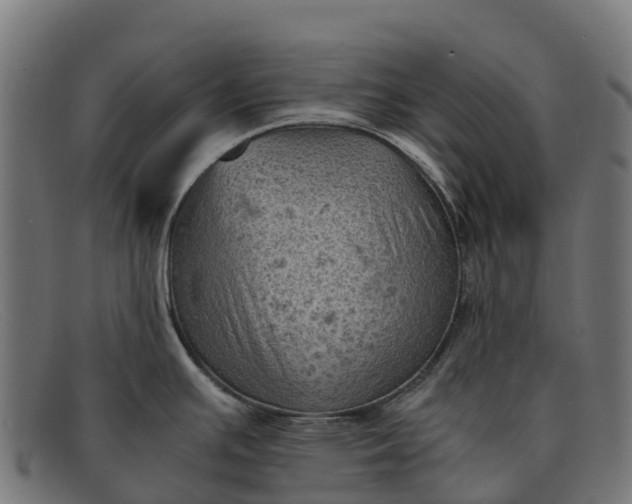 X0000091651391200709131442