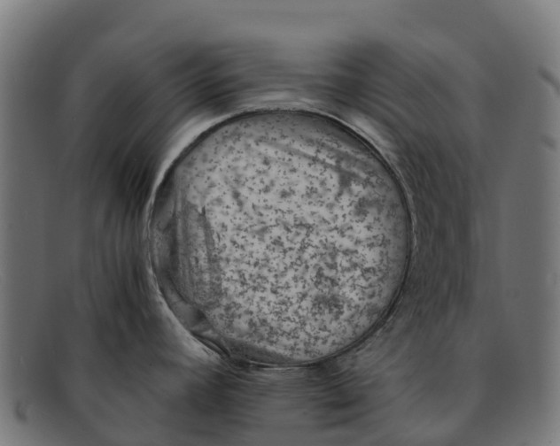 X0000091651392200709131442