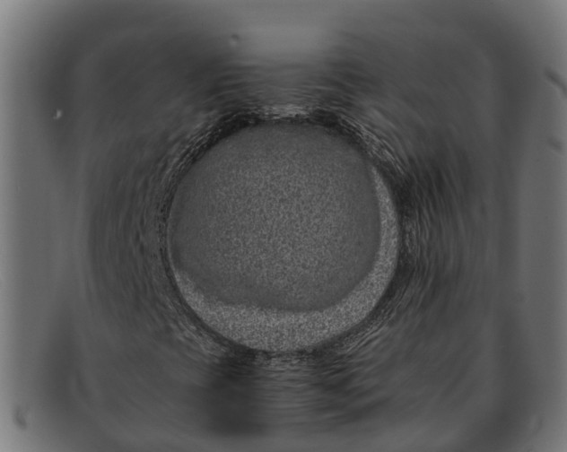 X0000091651393200709131441