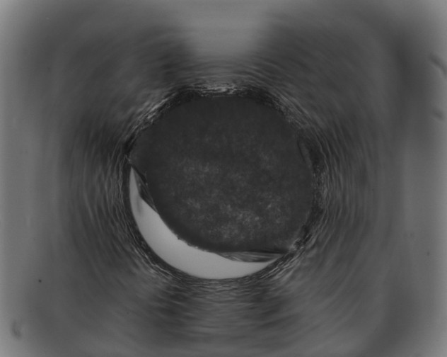 X0000091651394200709131441