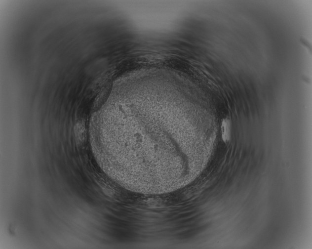 X0000091651395200709131441