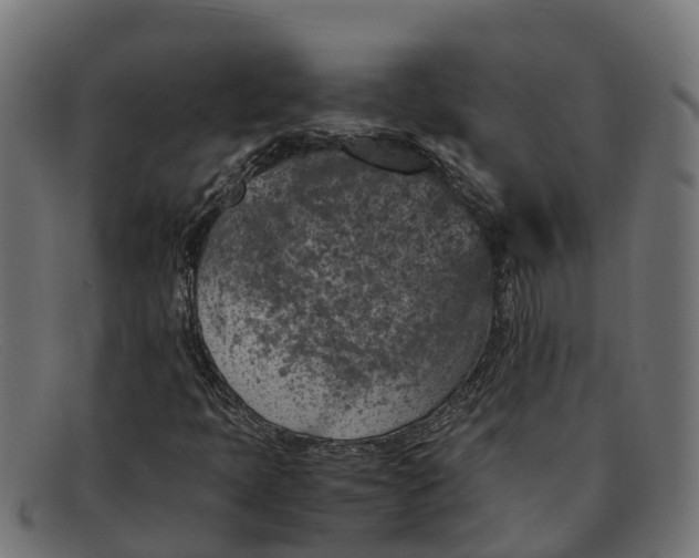 X0000091651397200709131441