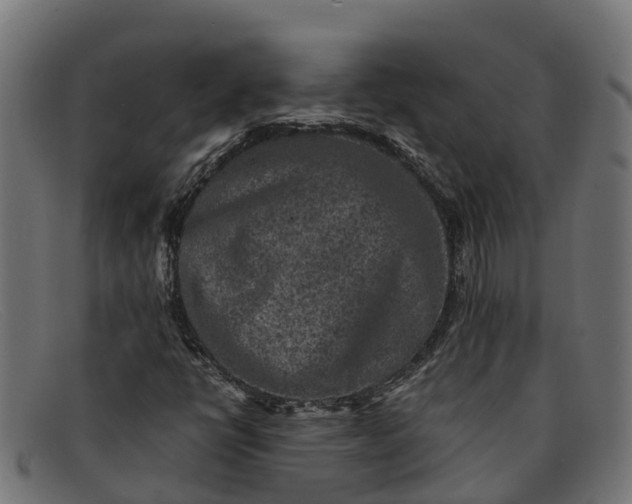 X0000091651398200709131441