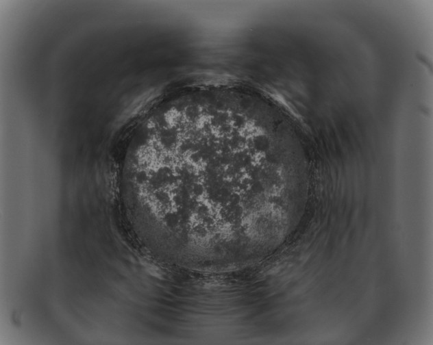 X0000091651399200709131441