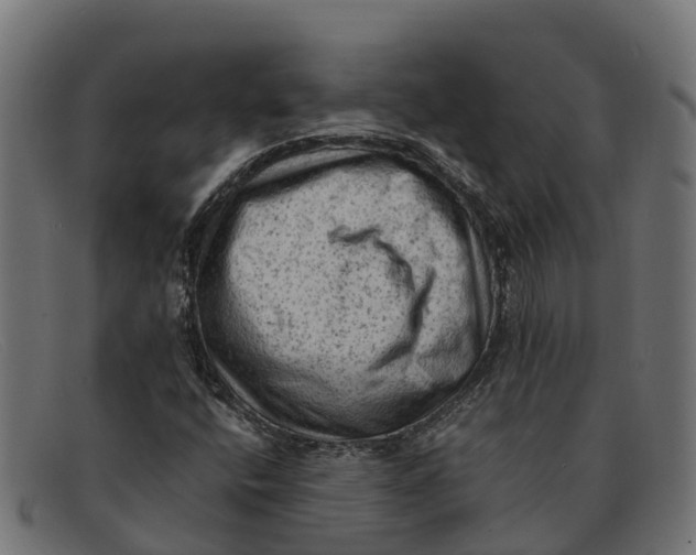 X0000091651400200709131441