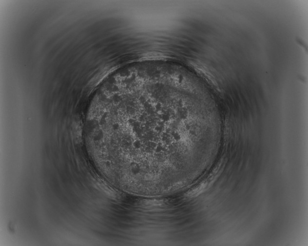 X0000091651401200709131441