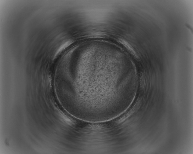 X0000091651402200709131441