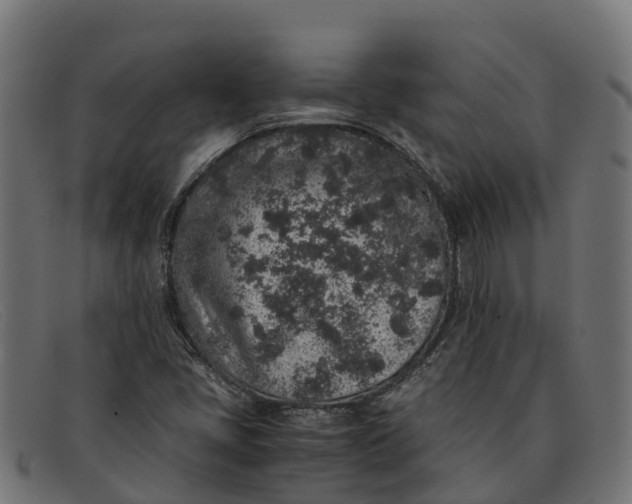 X0000091651405200709131441