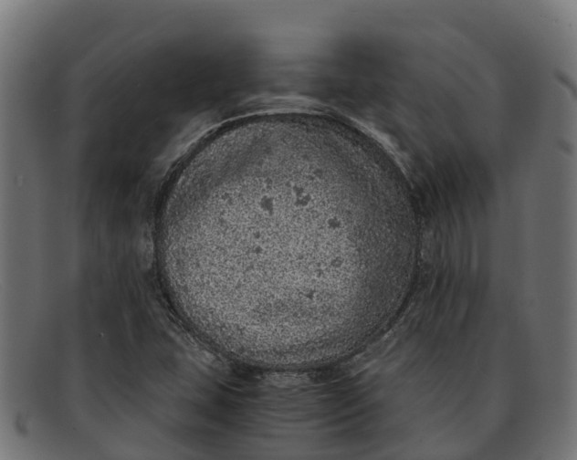 X0000091651407200709131441