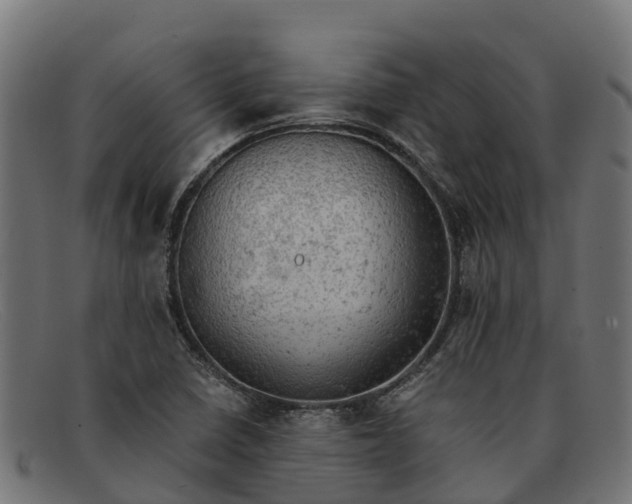 X0000091651410200709131441