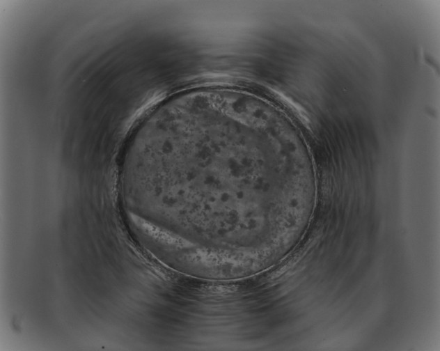 X0000091651411200709131441