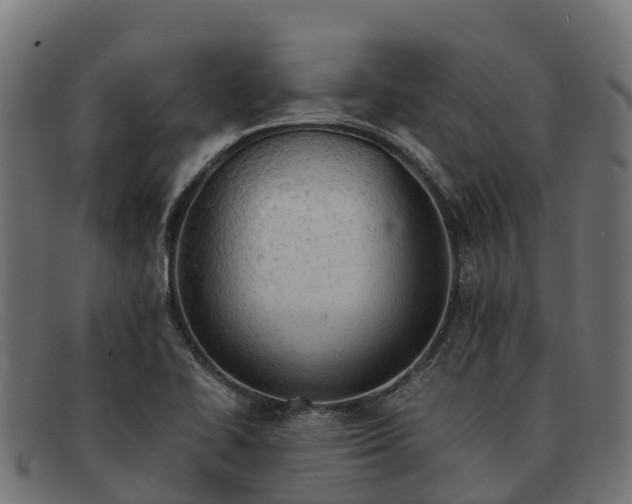 X0000091651414200709131441