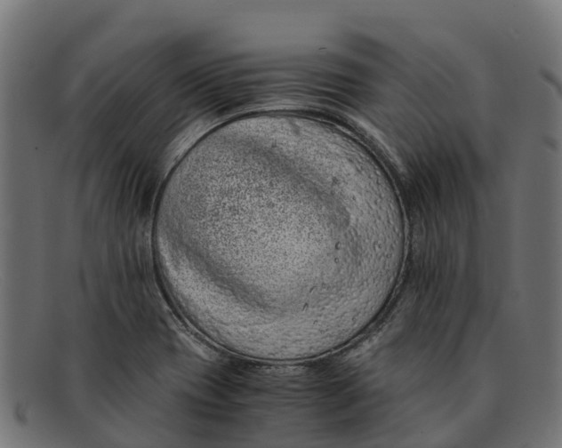 X0000091651417200709131441