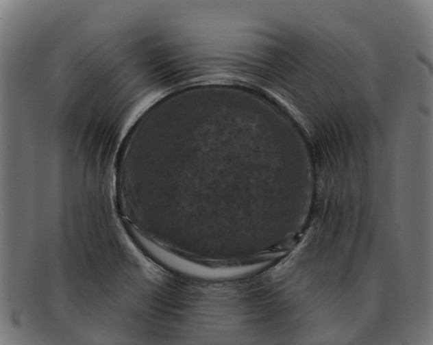 X0000091651418200709131441