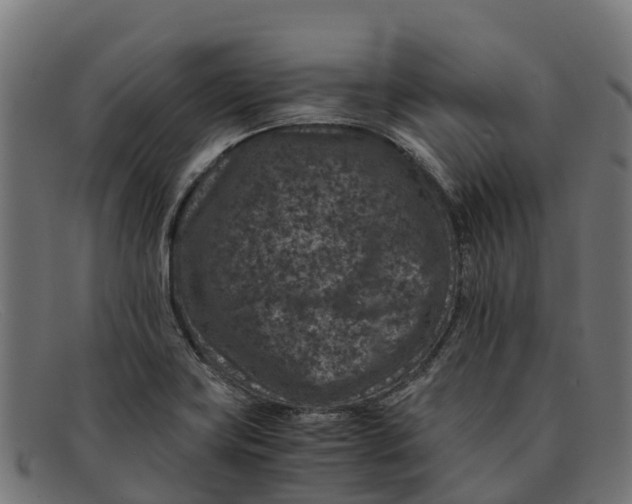 X0000091651419200709131441