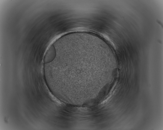 X0000091651421200709131441