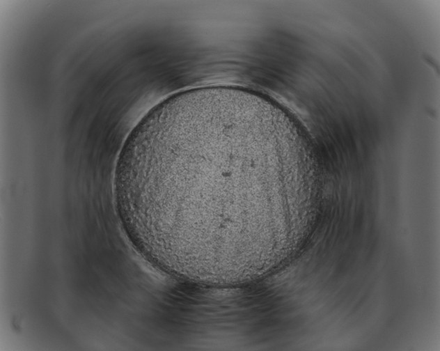 X0000091651423200709131441