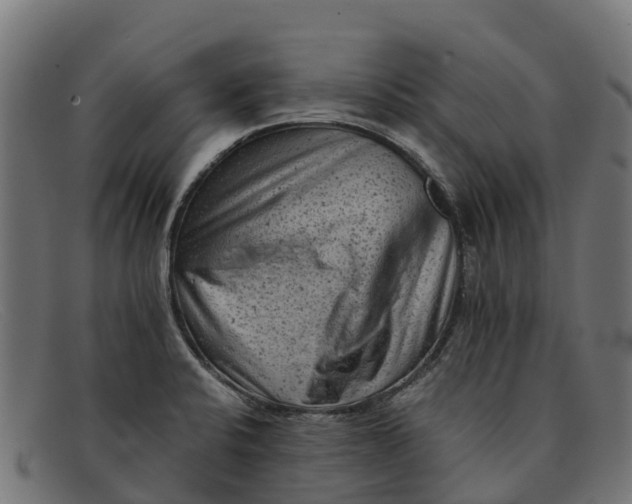 X0000091651424200709131441