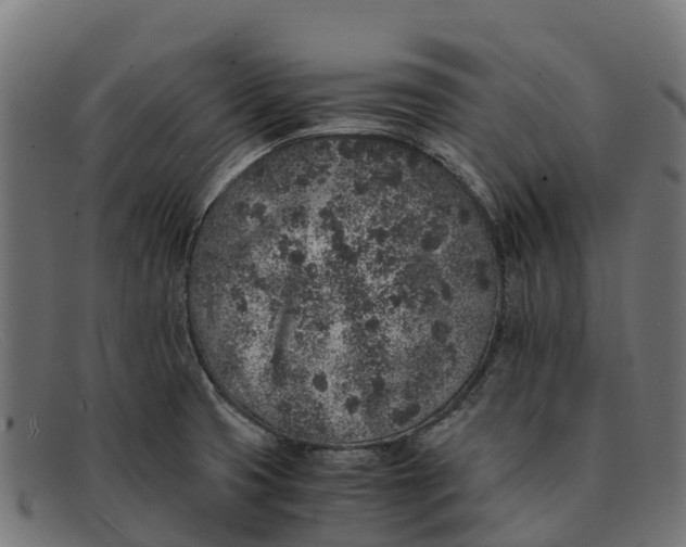 X0000091651425200709131441