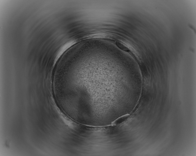 X0000091651426200709131441