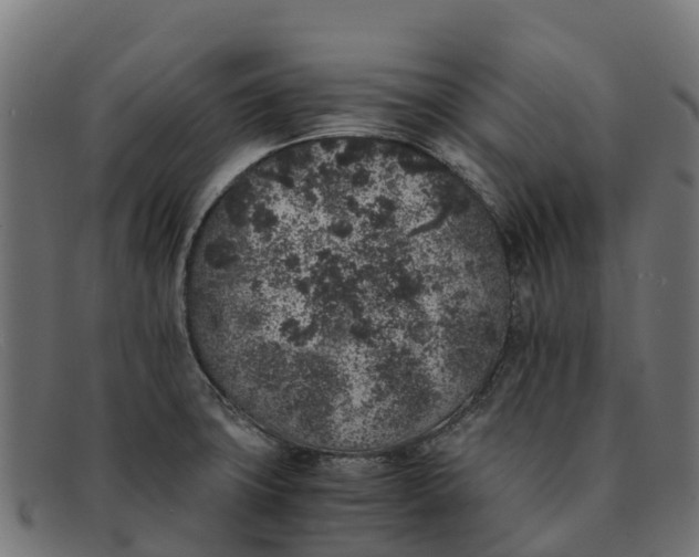 X0000091651427200709131441