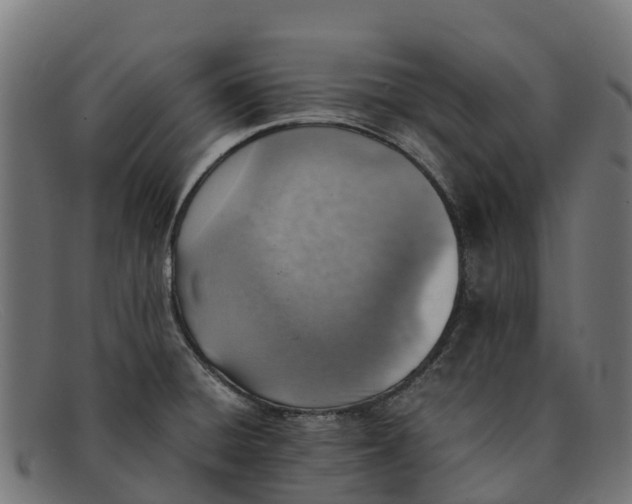 X0000091651428200709131441