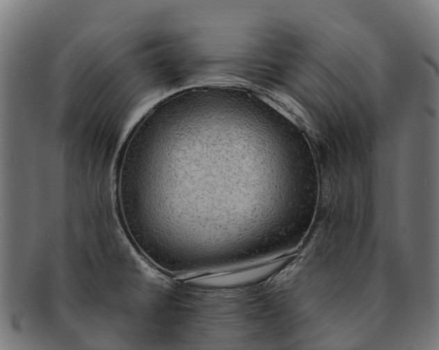 X0000091651430200709131442