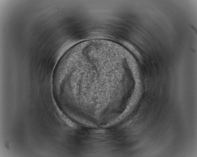 X0000091651431200709131442