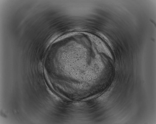 X0000091651433200709131442