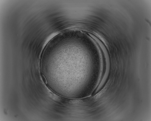 X0000091651434200709131442