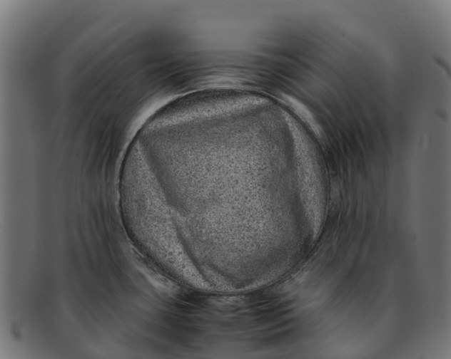 X0000091651435200709131442