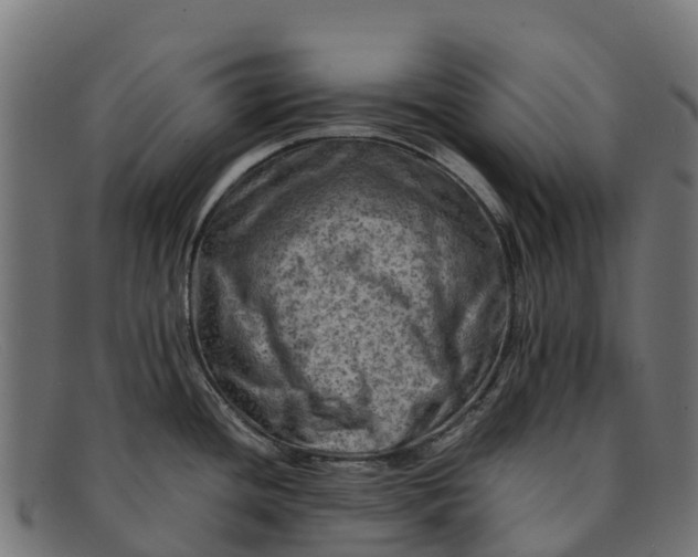 X0000091651436200709131442