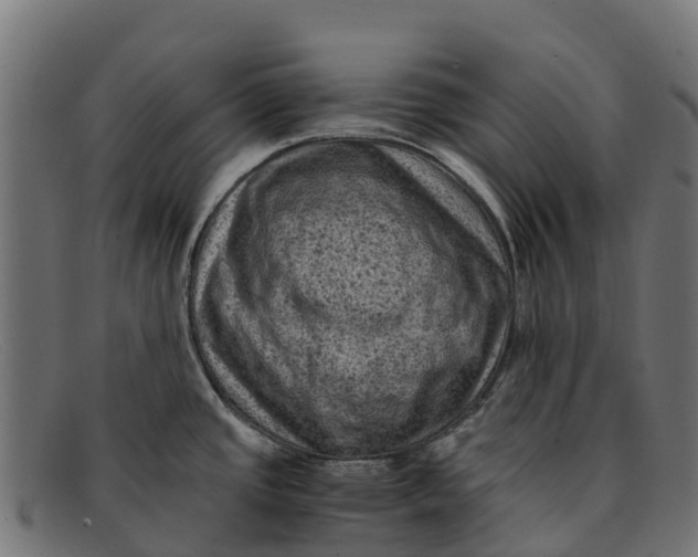 X0000091651437200709131442