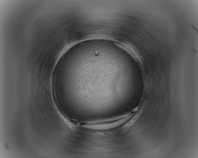 X0000091651438200709131442