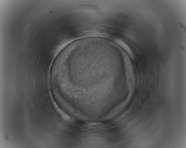 X0000091651439200709131442